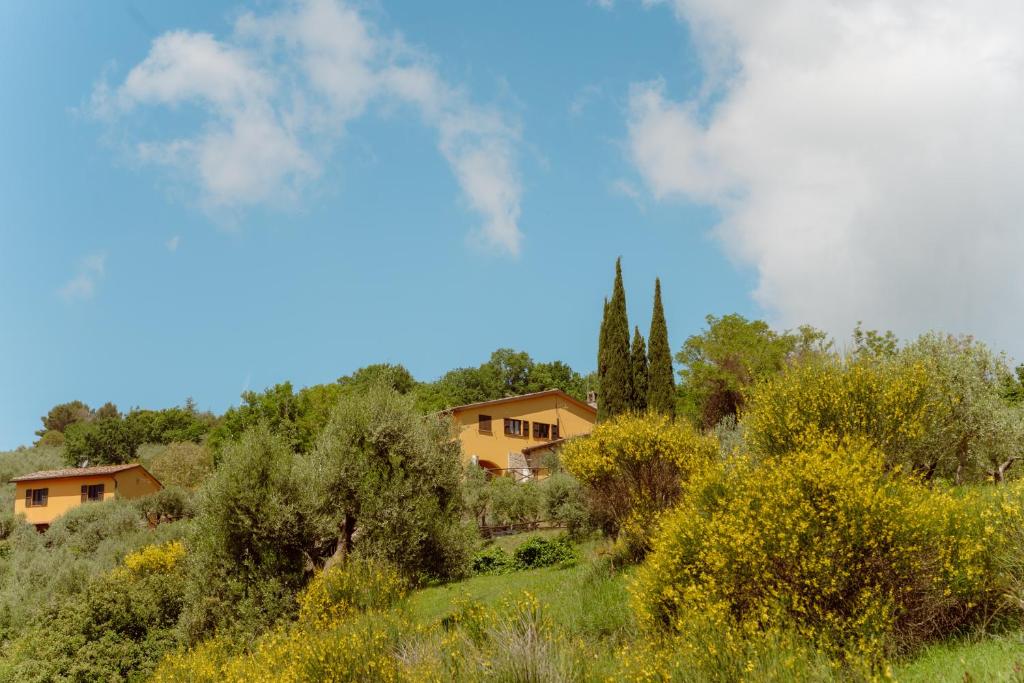 Agriturismo San Felicissimo - 2