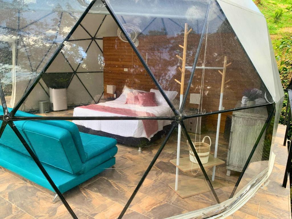 Eco Boutique-Sierra - 1