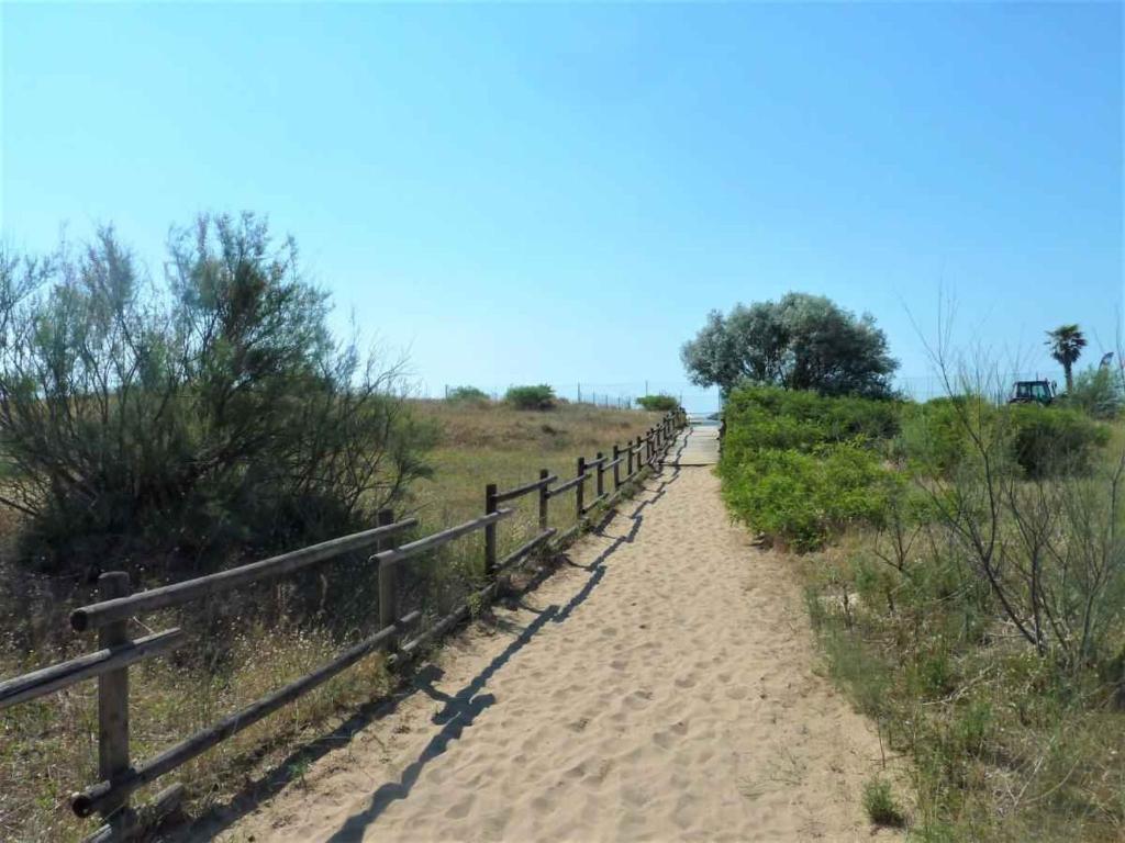 Apartment in Lido di Jesolo 24800 - 5