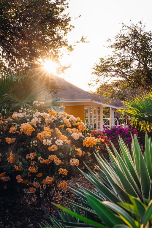 Chogogo Dive & Beach Resort Curaçao, Jan Thiel