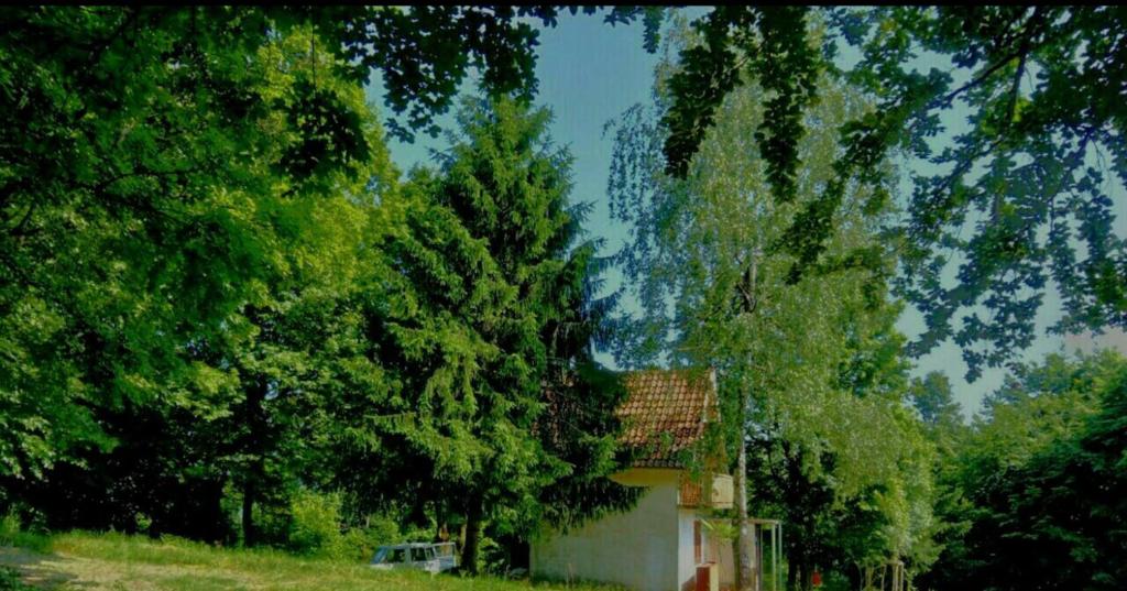 Deep Forest House, Gornji Barbeš