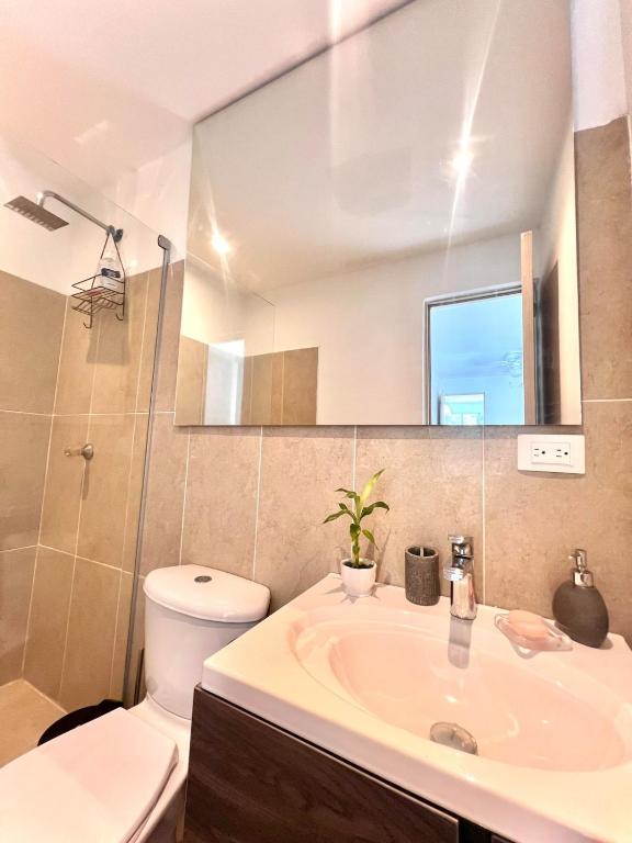 apartamento prodis 3A - 3