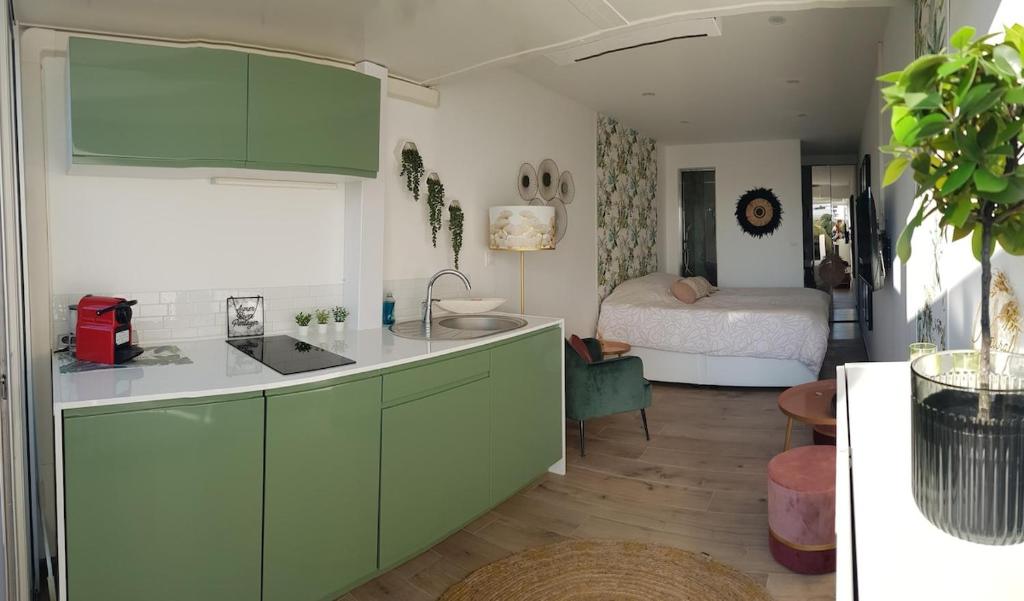 Studio port nature 2, Cap d'Agde