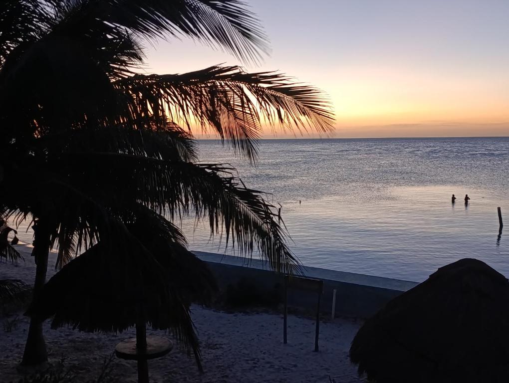 Bambu house Holbox beach front - 5