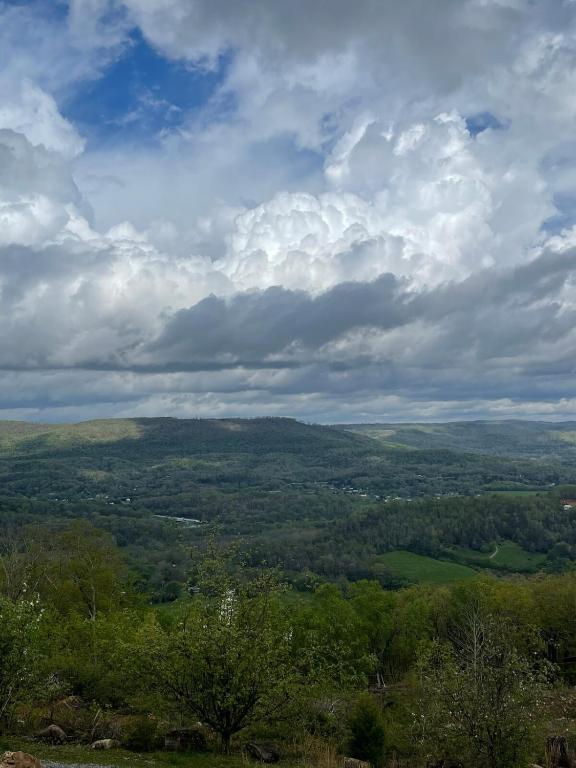 Tree Top View of lookout mountain, Rising Fawn
