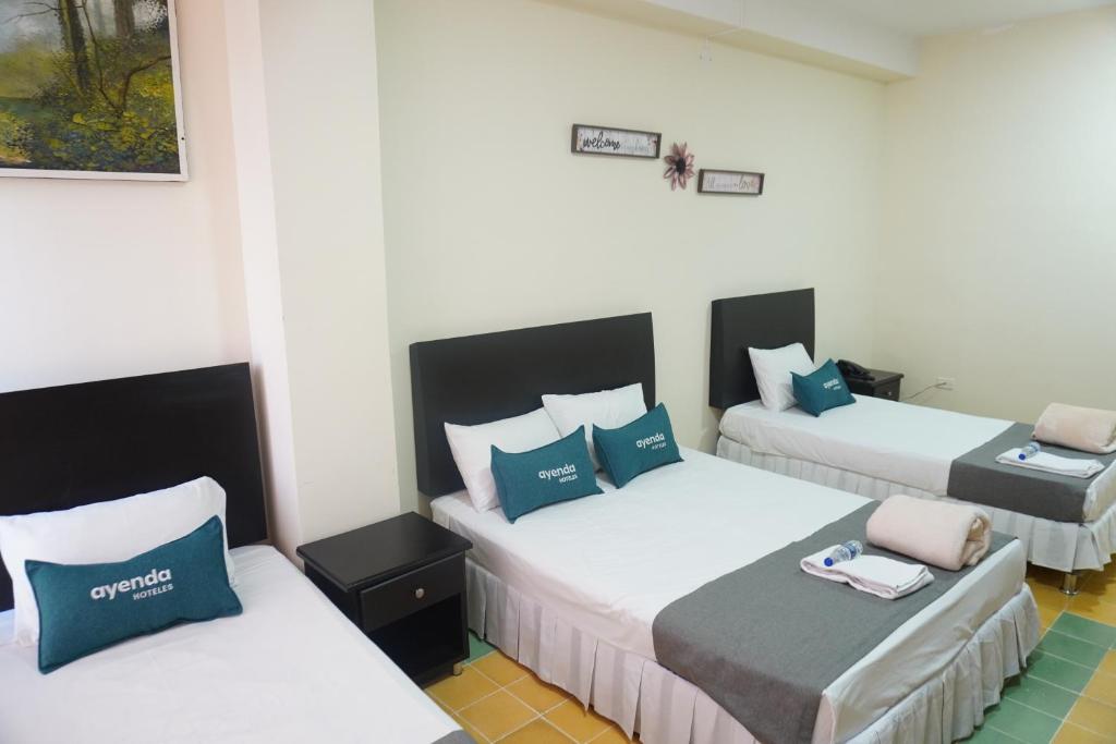 Hotel El Andino - 5