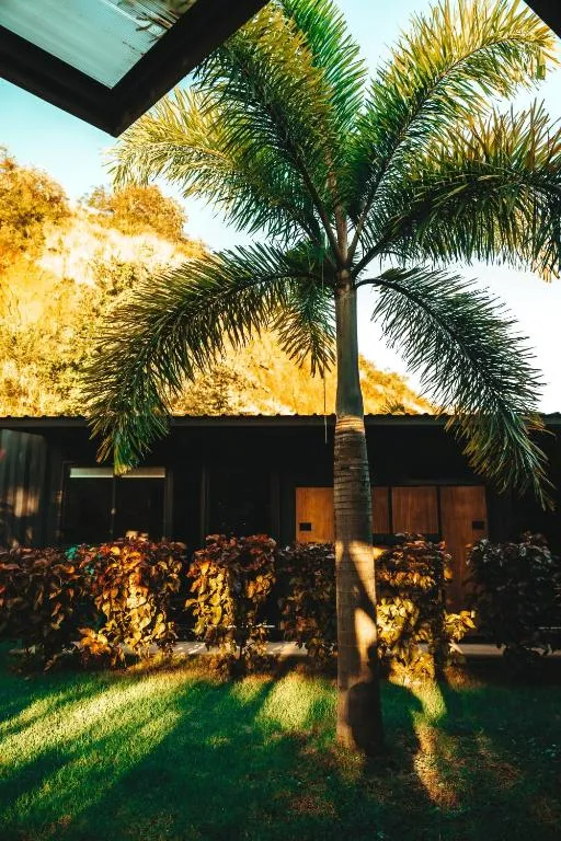 Wao Jungle Venao, hotel in Playa Venao