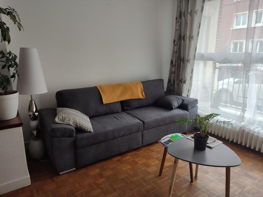 Appartement spacieux cosy en hypercentre proximité Cathédrale, Coliseum - 2