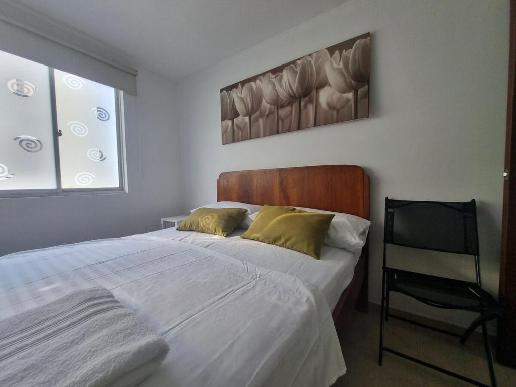 Ardival Tiny 308 - WAIWA HOST - 2