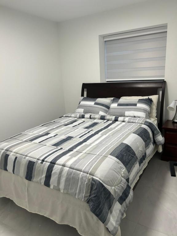 Bird Nest Suites, Surrey