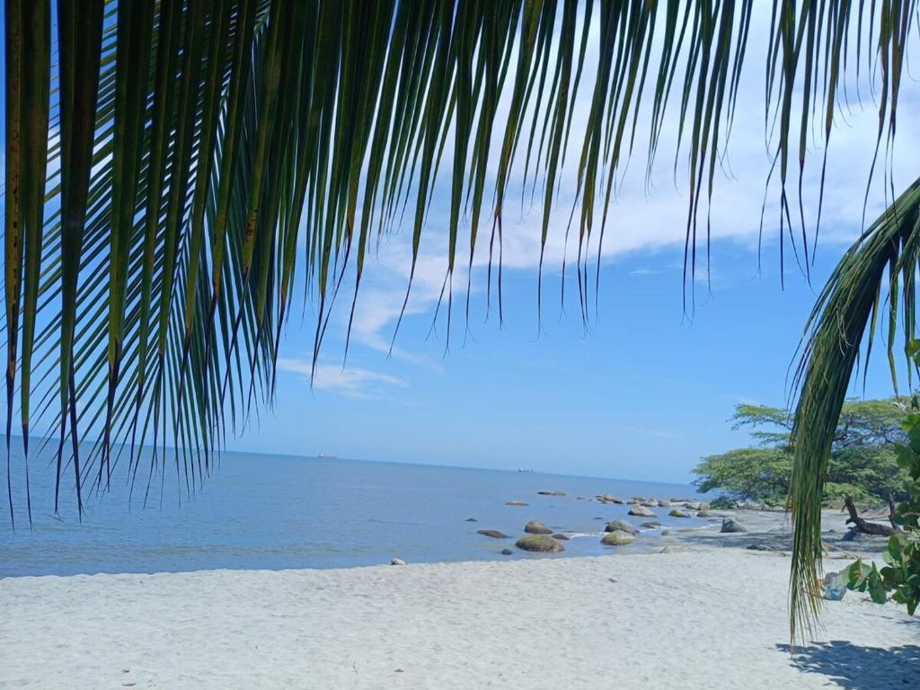 Un Espacio para soñar, Santa Marta