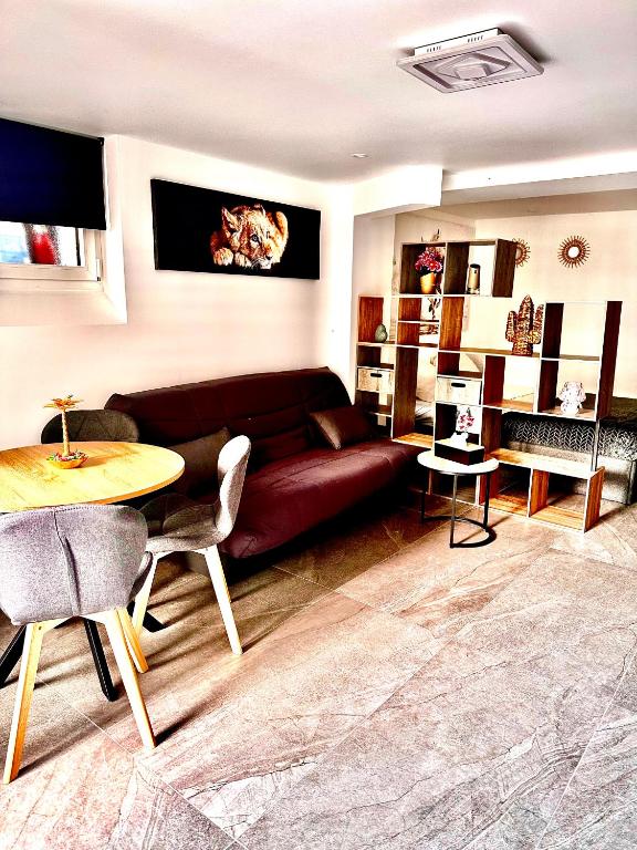 Annecy calme proche centre parking gratuit - 3
