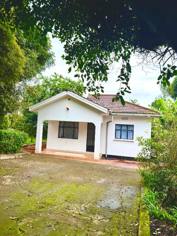 In arusha nests, Nkunjila