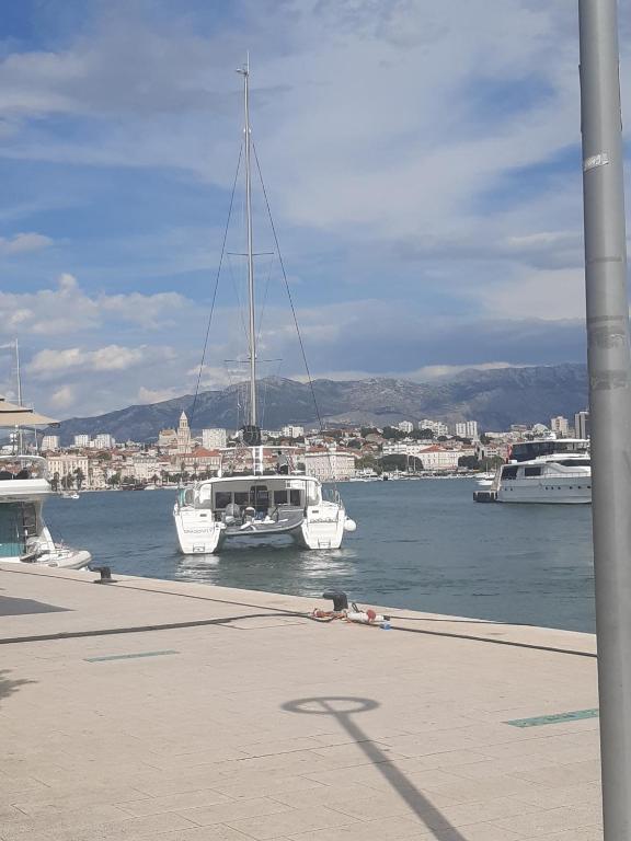 Multiverse, Podstrana