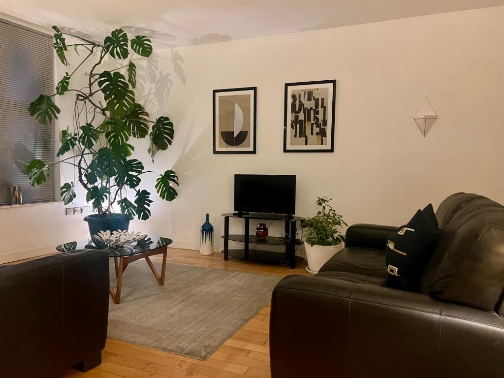 Beautiful Loft City Centre, Liverpool 1