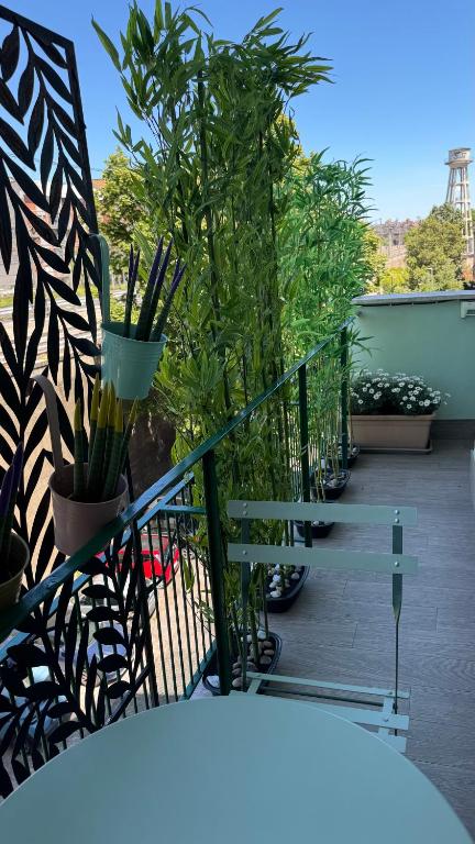 Monstera House Roma Trastevere - 2