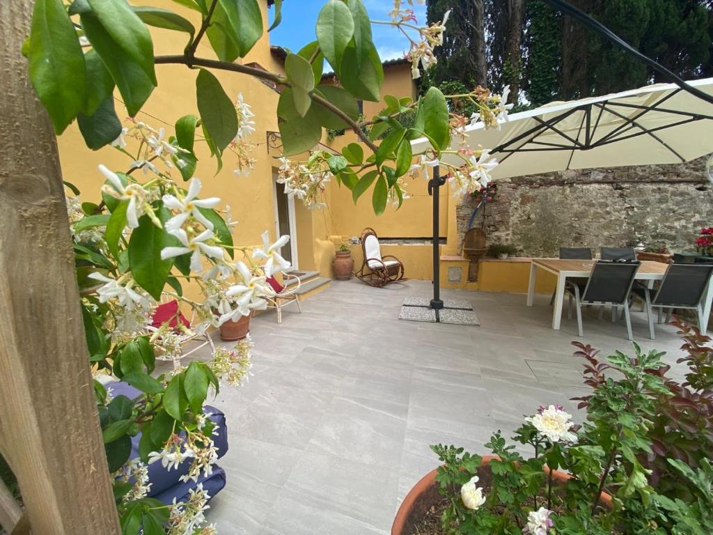 Il Portico di Margherita - 2