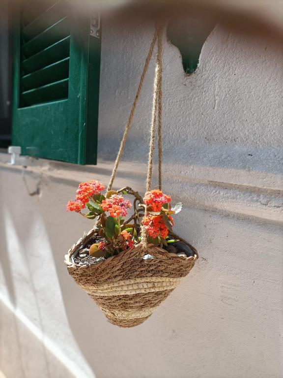 A casa di Cicca - 5