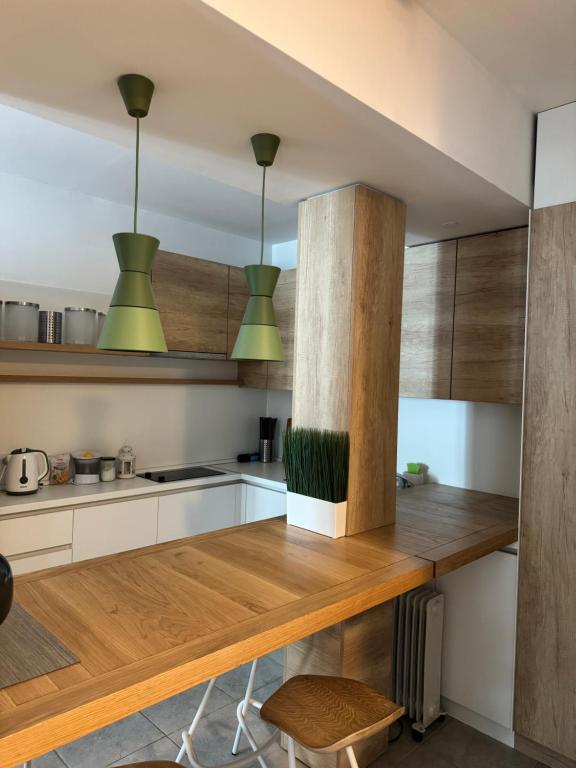 Apartman Vila Jaram, Kopaonik - 3