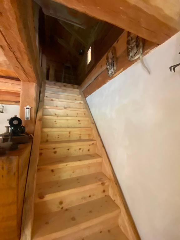 Chalet Alpage aux portes du Queyras - 5