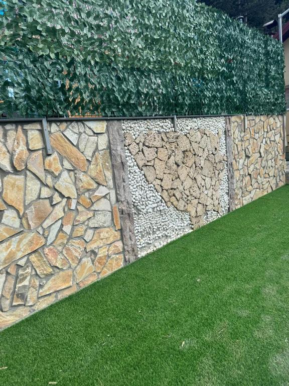 AM Pyramid resting - 5