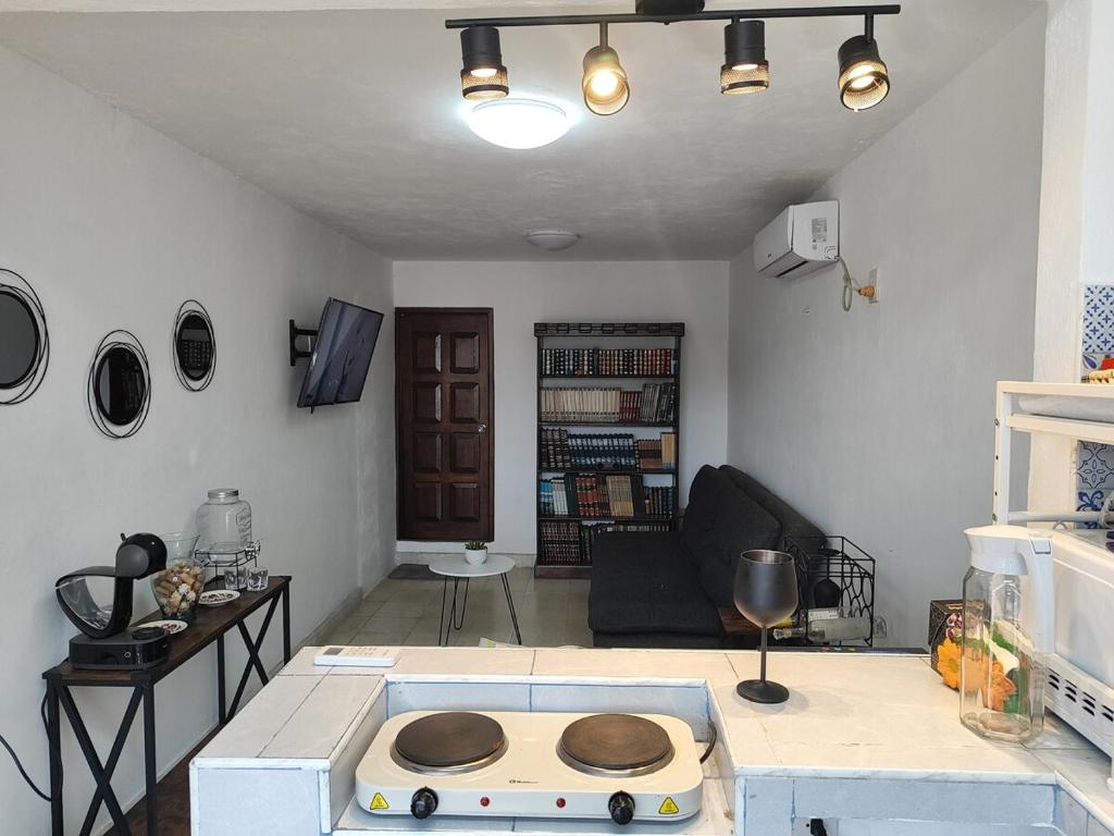 El depa de los cactus, Progreso