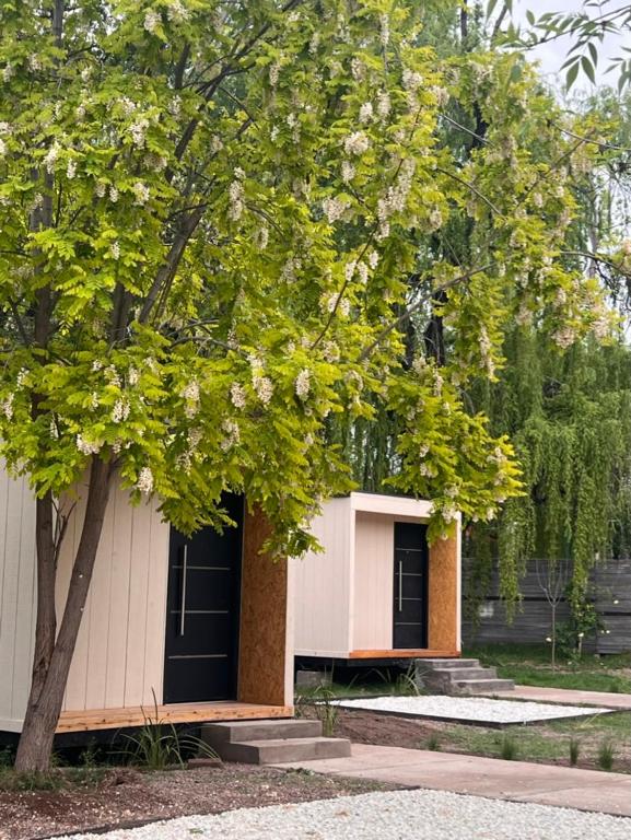 La Misión Tiny Houses - 1