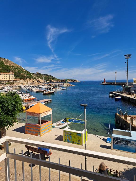 Orchidea del mar, Giglio Porto