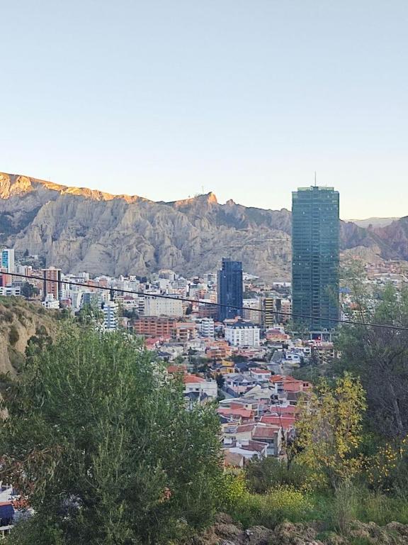 la imilla errante - 2