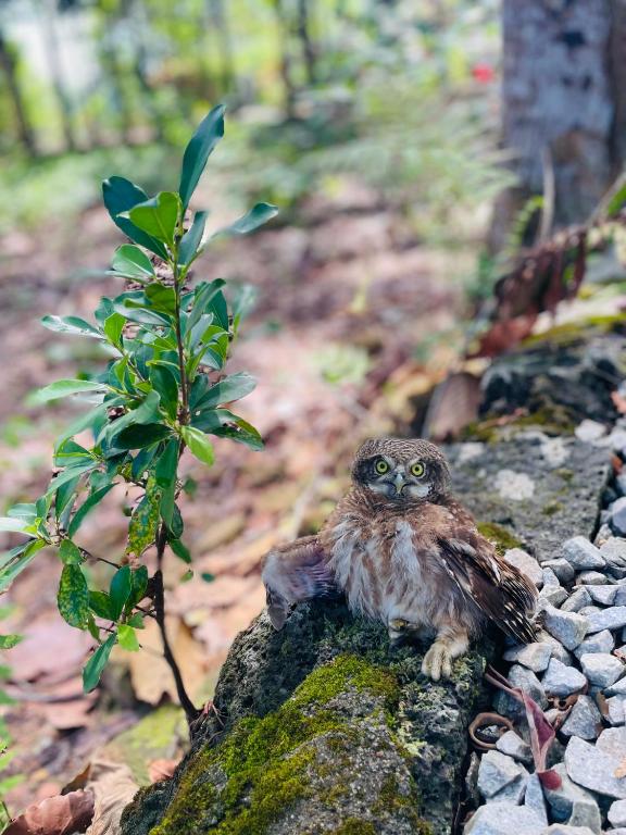 Surrounding environment