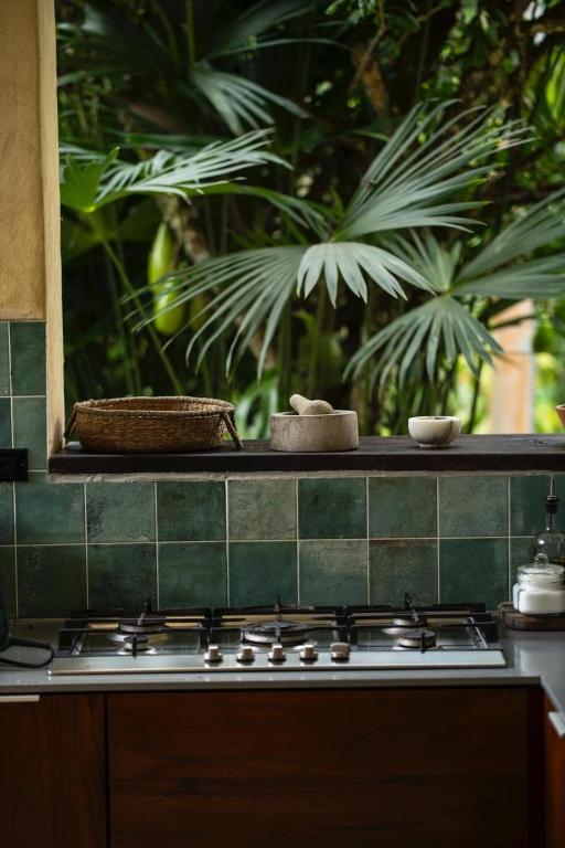 Casa Adobe Finca - 3