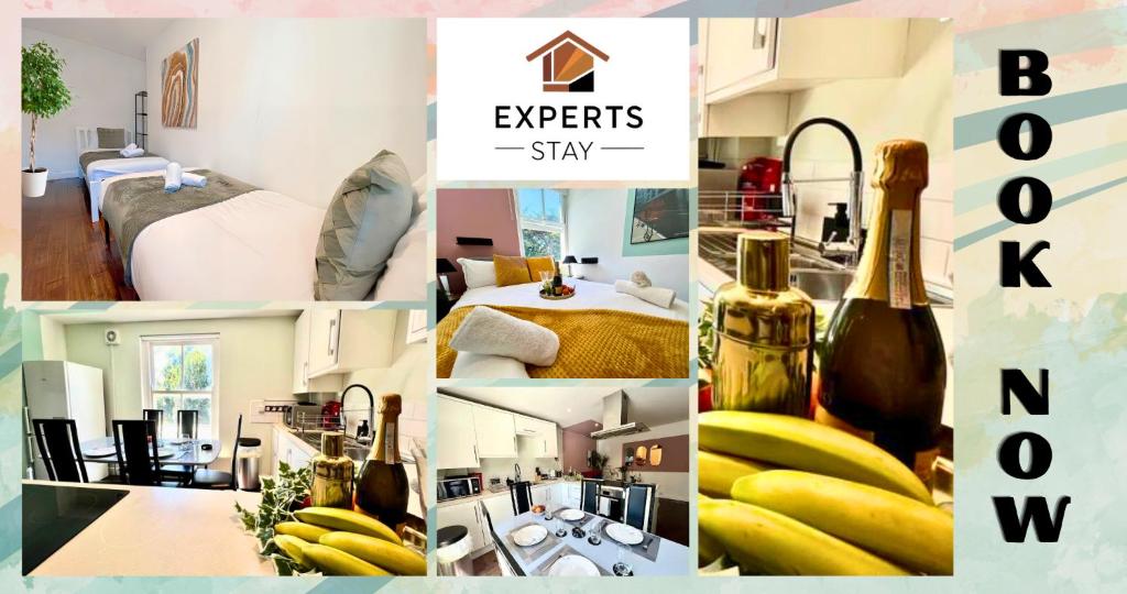 Expert Stays 2 BR Super Central Cambridge, Cambridge