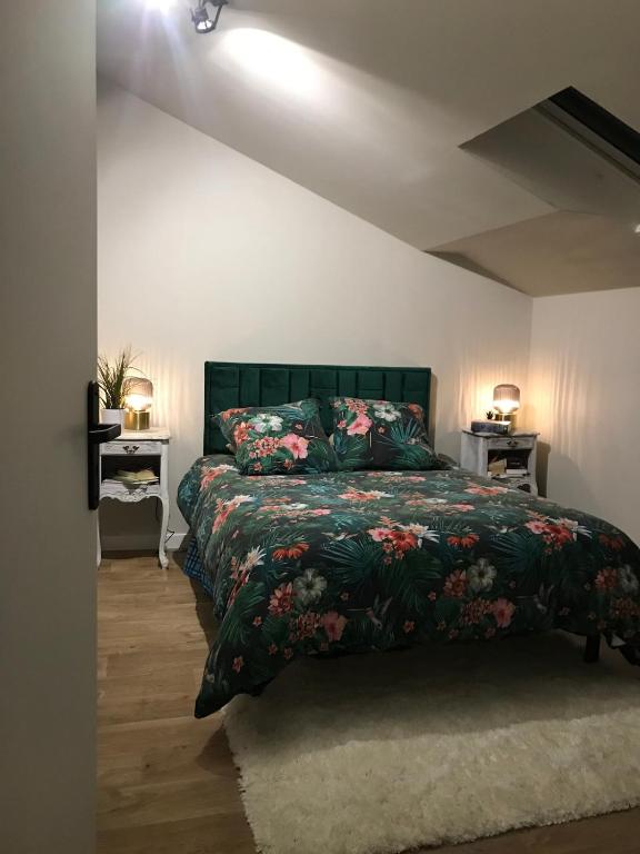 Loft 90m2 avec spa chauffé unique à Lyon - 2