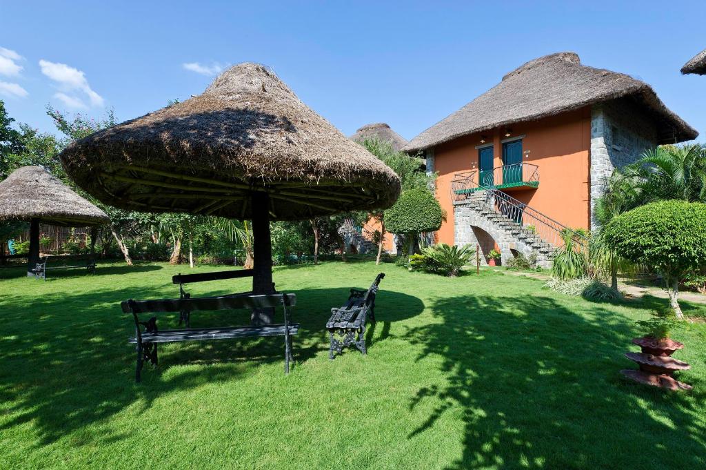 2. 할레즈 스파르사..