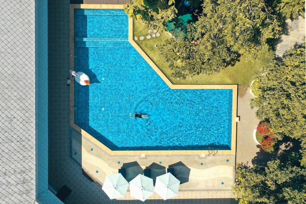 สระว่ายน้ำ