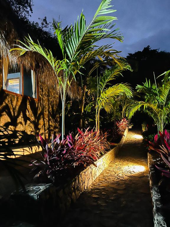 Colibri Parque Tayrona Dentro del Parque Nacional Tayrona - 3