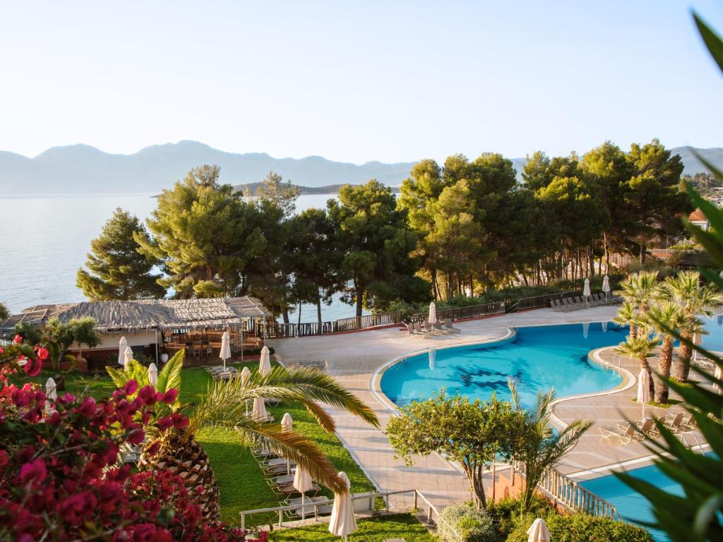 スイミングプール