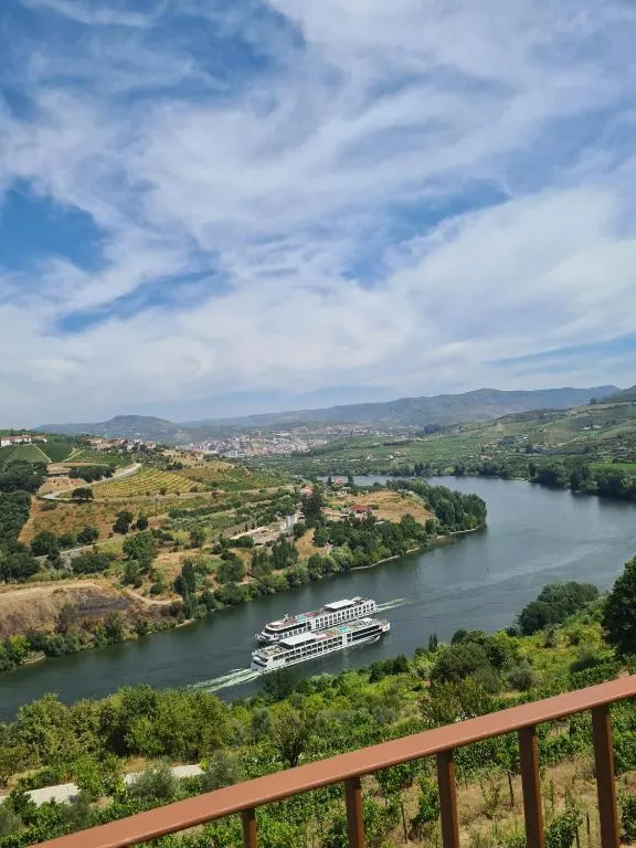 Delfim Douro Hotel, hotel in Lamego