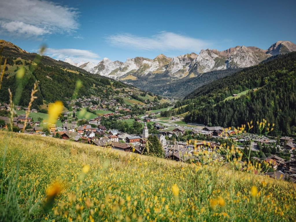 Studio montagnard pour 4 avec parking et animaux admis - FR-1-467-29 - 3