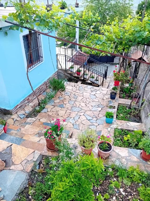Guest house Eloid, Berat
