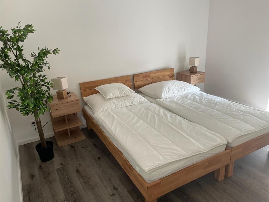 Sorinas Home - Comfortable Apartment near Graz - Free Parking - 3