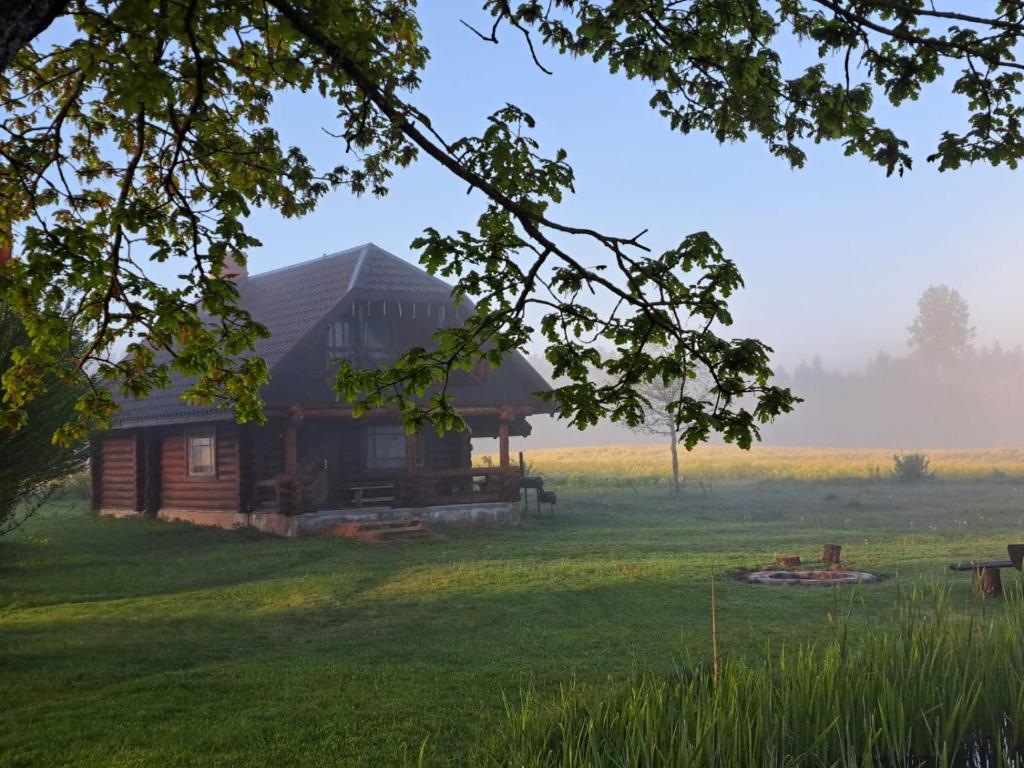 Jaundzelves, Stacija )) (( Ozoli