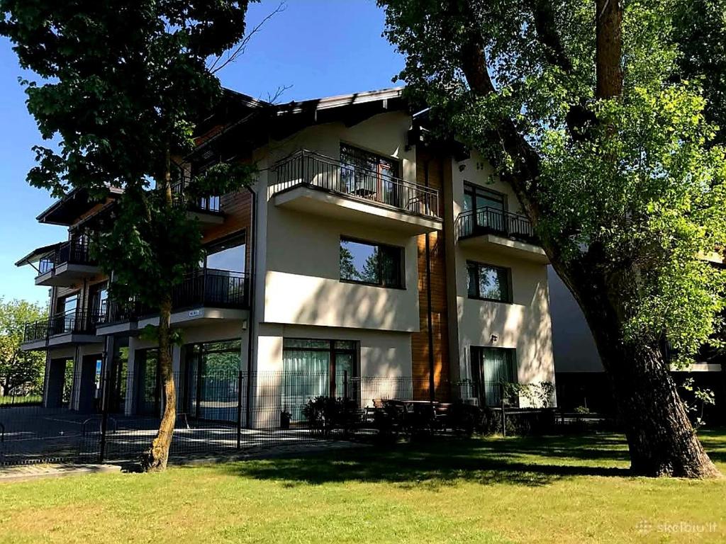 Pajūrio kampelis, Palanga