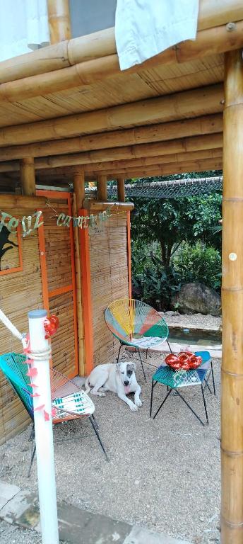 Glamping 8Caminos - 5