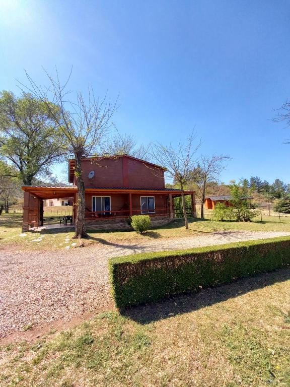 cabaña rodeada de bosque - 3