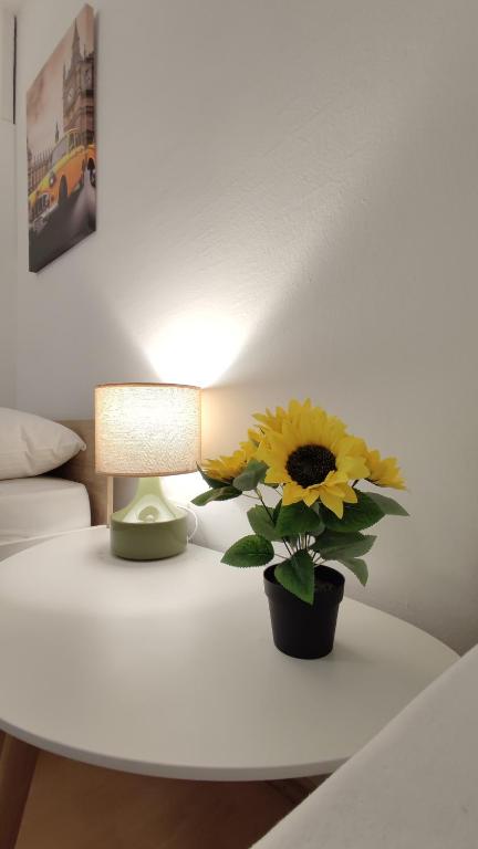 Apartmani Tarik, Mostar