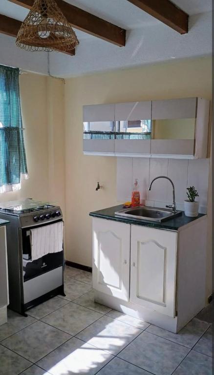 centrico departamento - 5