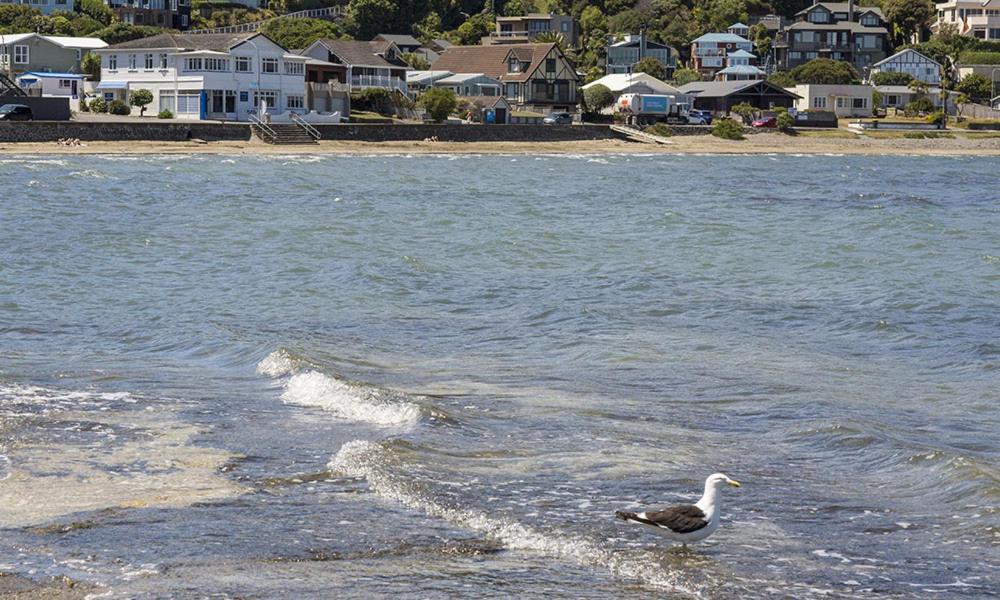 ทัศนียภาพ