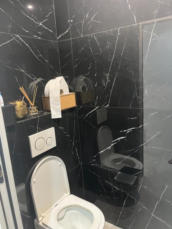 Havre de Paix avec Villa Prestige Cannes , Piscine Chauffée, Alarme, Caméras Parking privée - 2
