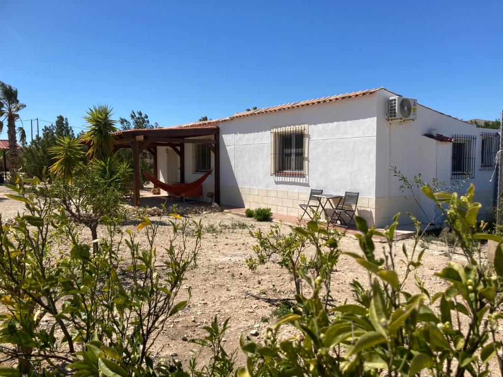 Casita Abanilla - 3